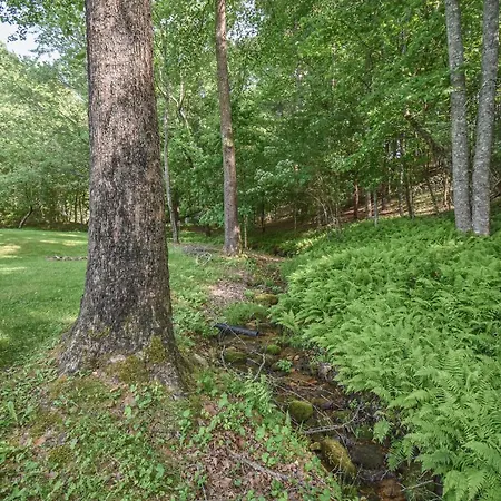 Blairsville Glen